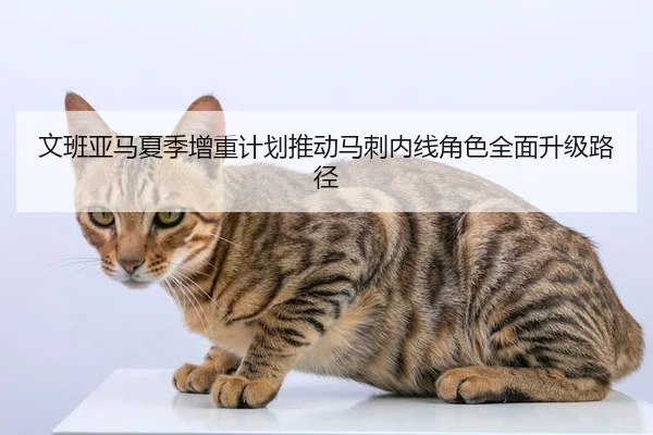 文班亚马夏季增重计划推动马刺内线角色全面升级路径